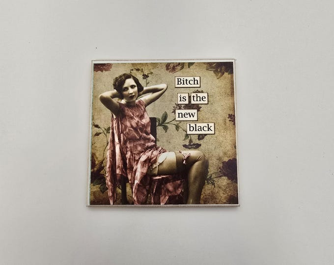 sarcastic funny witty fridge magnet