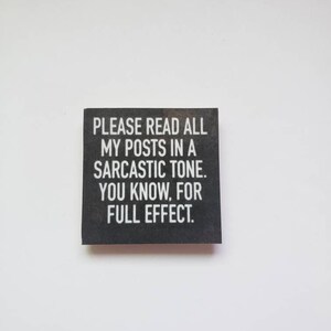 sarcastic witty funny magnet
