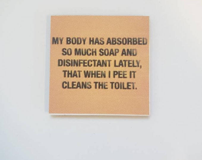 sarcastic fridge magnet