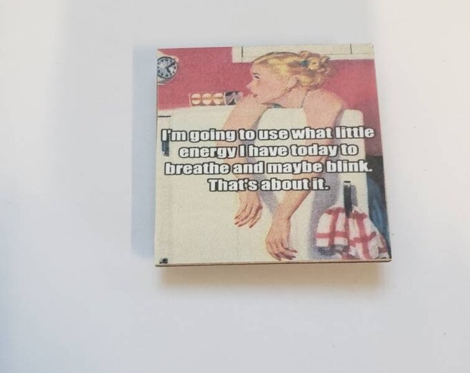 Sarcastic funny fridge magnet