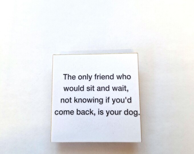 sarcastic funny witty fridge magnet