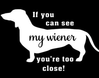 If you can see my wiener dog decal