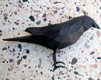 CORAX_CORVUS_CROW_CARGA