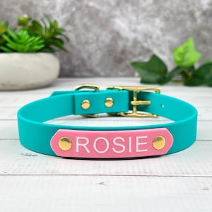 Collier pour chien imperméable en biothane sans médaillon - Collier silencieux pour chiots avec quincaillerie en laiton massif ou en acier