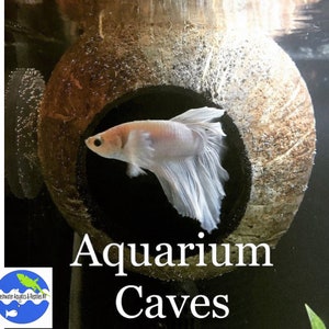 Fish Tank Decor Etsy