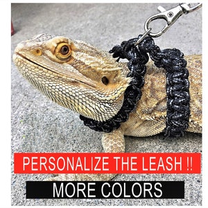 Reptile Harness Bearded Dragon Para-cord Harness / collar and Leash reptile lizard personalize