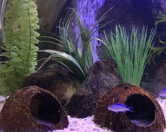 Betta Hide Etsy Betta Hide Etsy