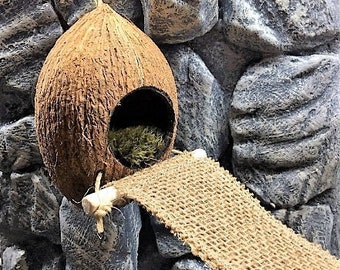 May include: A brown coconut birdhouse with a round entrance and a woven ramp. The birdhouse is suspended by a natural fiber rope against a backdrop of gray stone. The interior of the birdhouse is filled with green material.