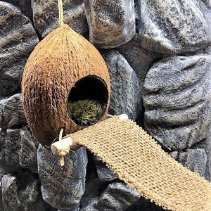 Coconut Hide with Burlap Bridge