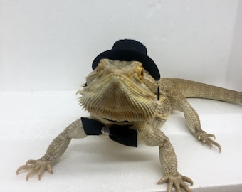 Image result for A dragon wearing sunglasses and a hat