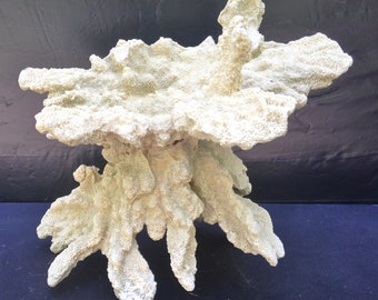 NEW TARANA SOLID CORAL