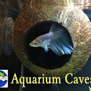 unique fish tank decorations