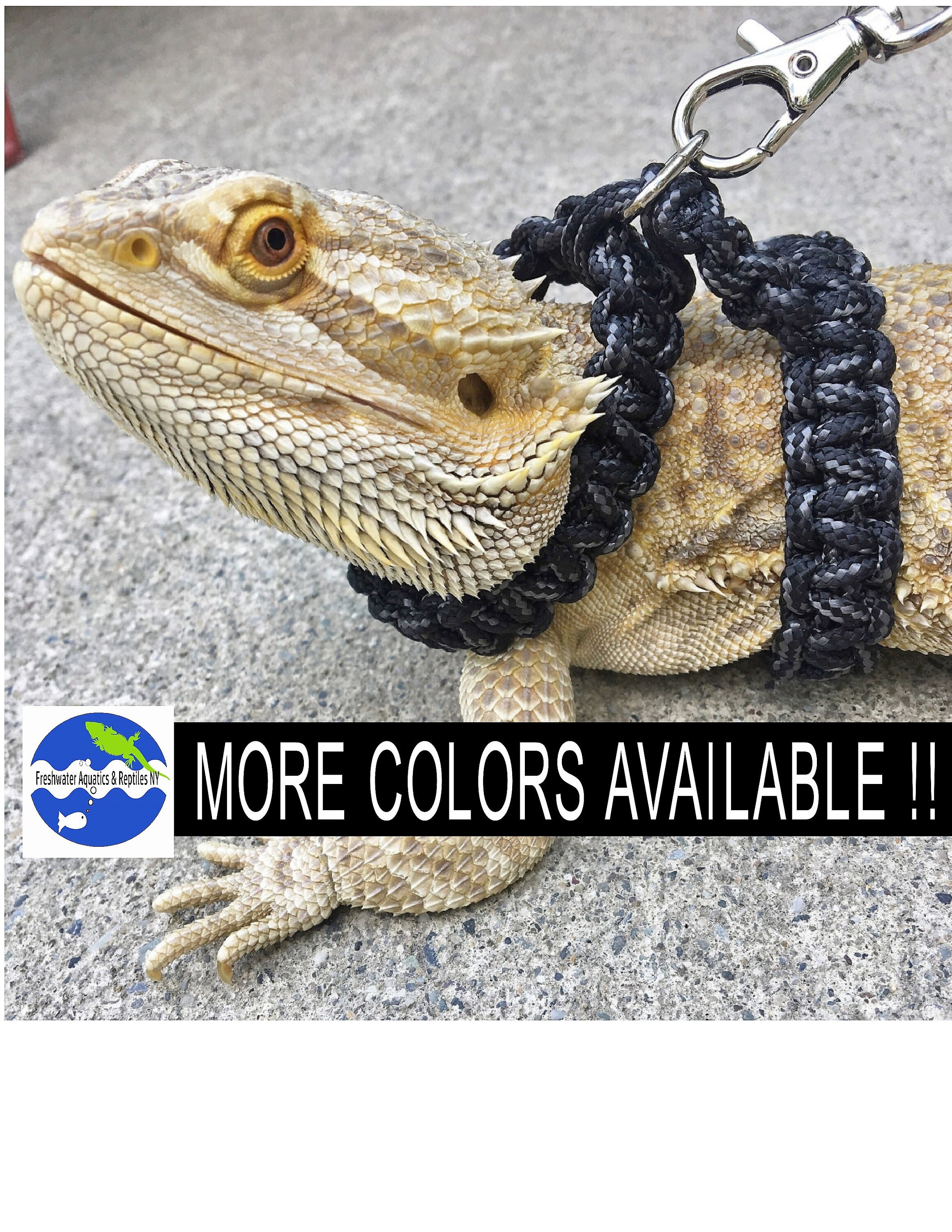 reptile harness