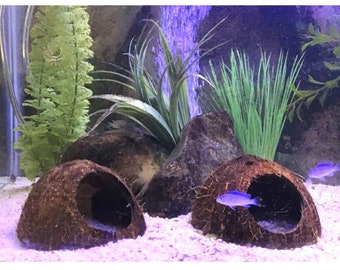 Aquarium Cave (2) Coconut Shell Caves/ Hides, pleco cave, shrimp cave, aquarium decoration, betta cave