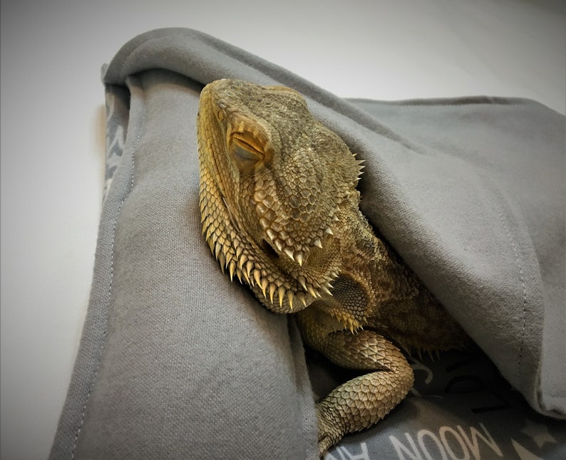 Reptile Sleeping Bag Set for Bearded Dragon Brumation Etsy