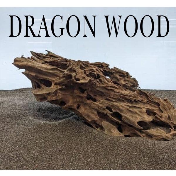 Bois de dragon pour aquarium ou vivarium, bois flotté de terrarium en bois de crevette pour aquarium