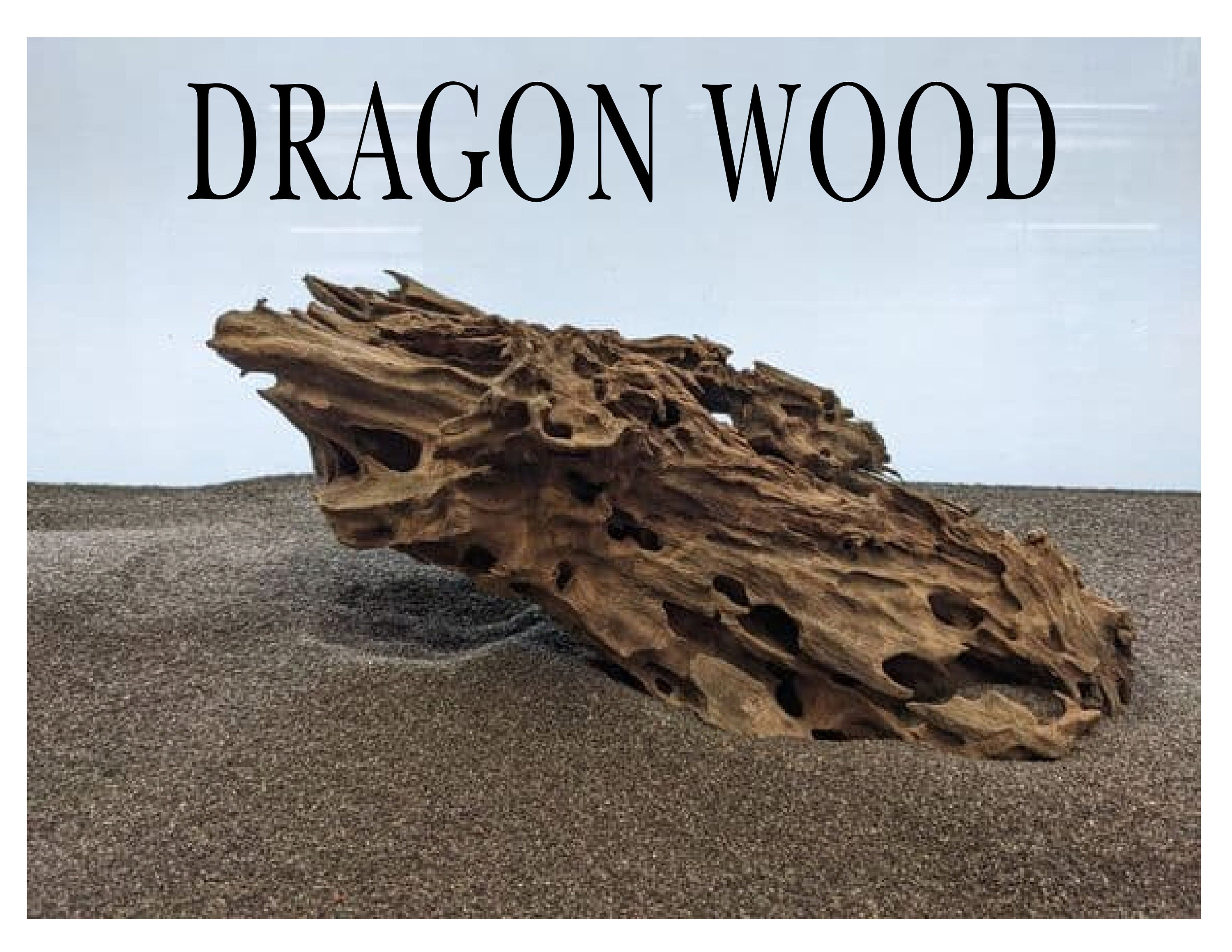 Dragon Wood for Aquarium or Vivarium, Terrarium Driftwood Fish tank shrimp wood
