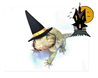 Witch Hat Halloween Costume for Bearded Dragon and Gecko or other Reptile or Pet bearded dragon costume