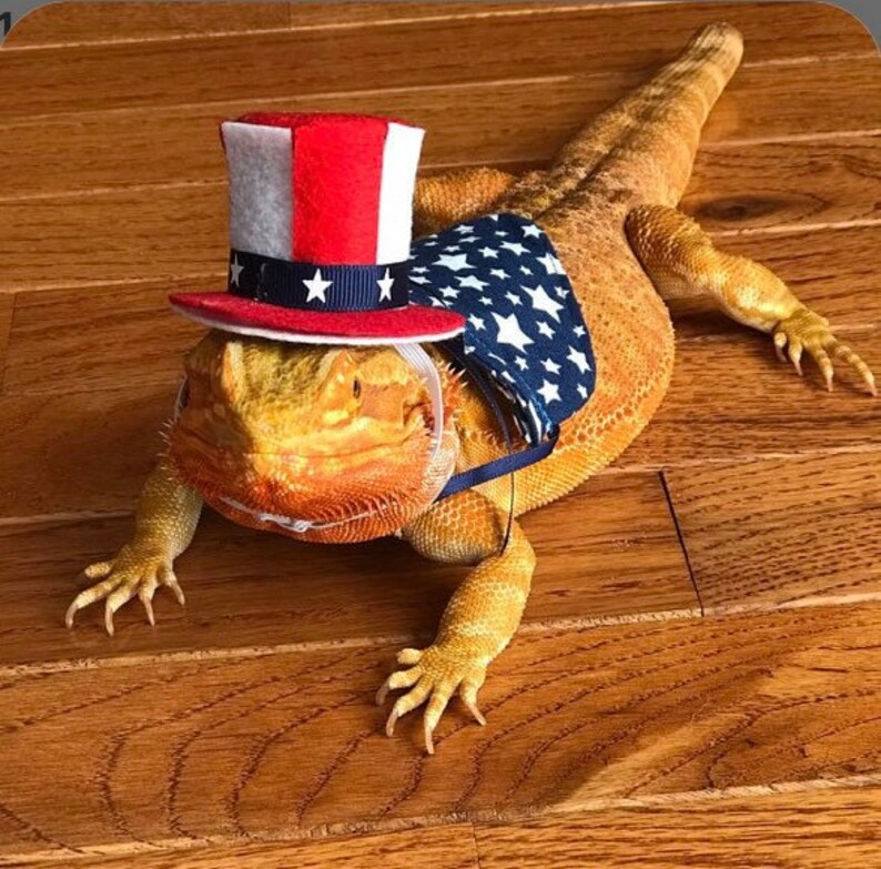 Patriotic Hat and Bandana for Reptile Bearded Dragon image 1