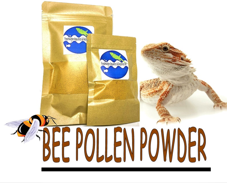 REPTILE BEE POLLEN Powder 100% pure Reptile Food Supplement for bearded dragon / reptiles / lizards / pet image 1