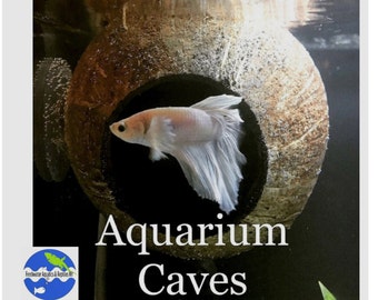 Aquarium Coconut Cave real coconut cave for betta cave, cichlid cave, betta fish cave, shrimp cave, aquarium decoration, aquarium accessory