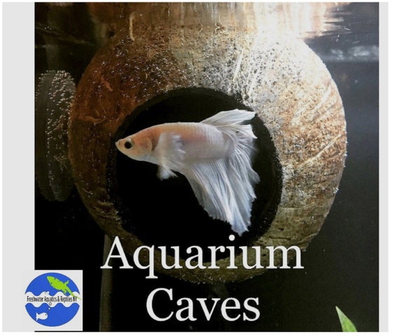 Aquarium Coconut Cave Real Coconut Cave for Betta Cave, Cichlid