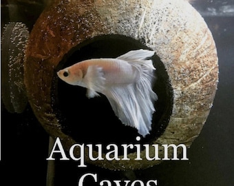 Aquarium coconut Cave Real coconut hide for betta cave, cichlid cave, betta fish cave, shrimp cave, aquarium decoration, aquarium accessory