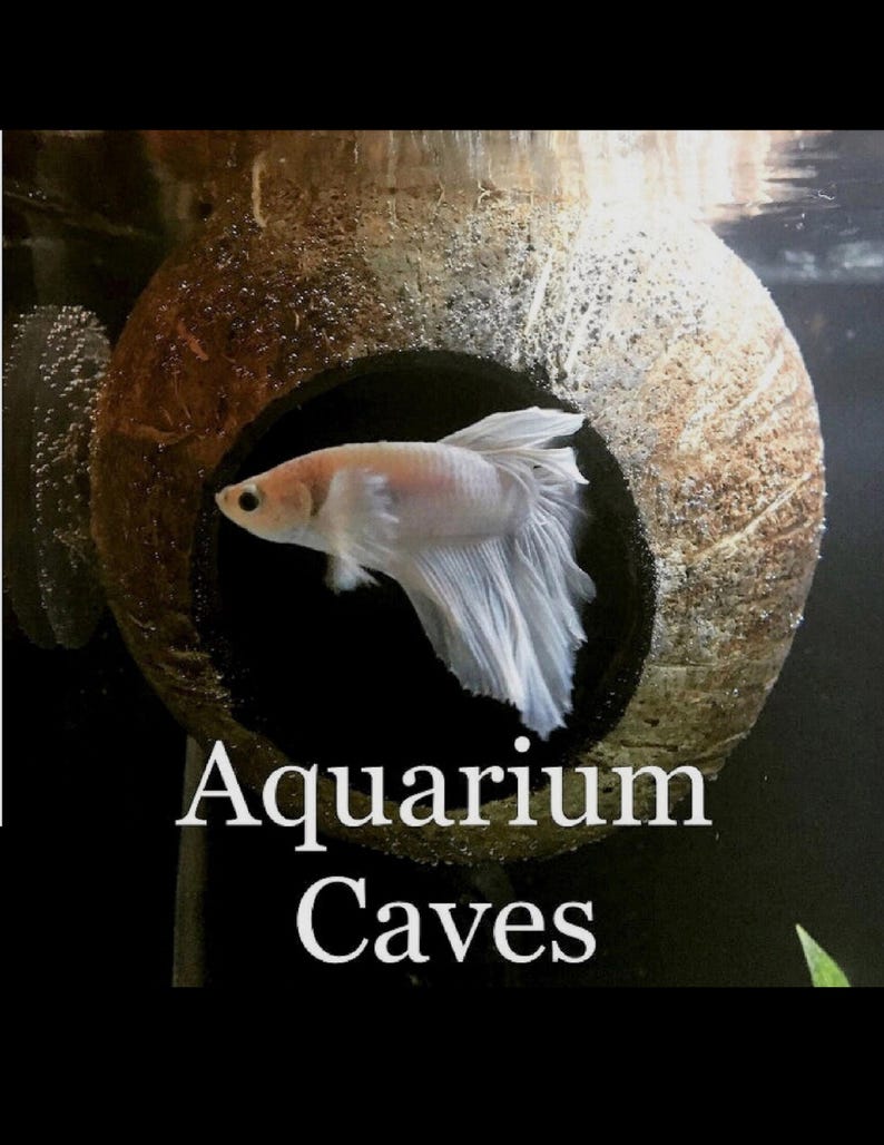 Natural Coconut Aquarium Cave: Betta, Cichlid, and Shrimp Hideout image 1