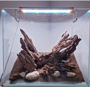 Dragon Wood for Aquarium or Vivarium, Terrarium Driftwood Fish tank shrimp wood image 4