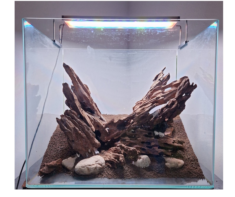 Dragon Wood for Aquarium or Vivarium, Terrarium Driftwood Fish tank shrimp wood image 4