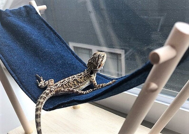 Wooden Reptile Hammock with fabric sling for Bearded Dragon or Etsy