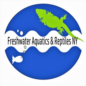 May include: A blue circle with white waves and the text "Freshwater Aquatics & Reptiles NY". A green lizard silhouette is above the waves and a white fish silhouette is below the waves.