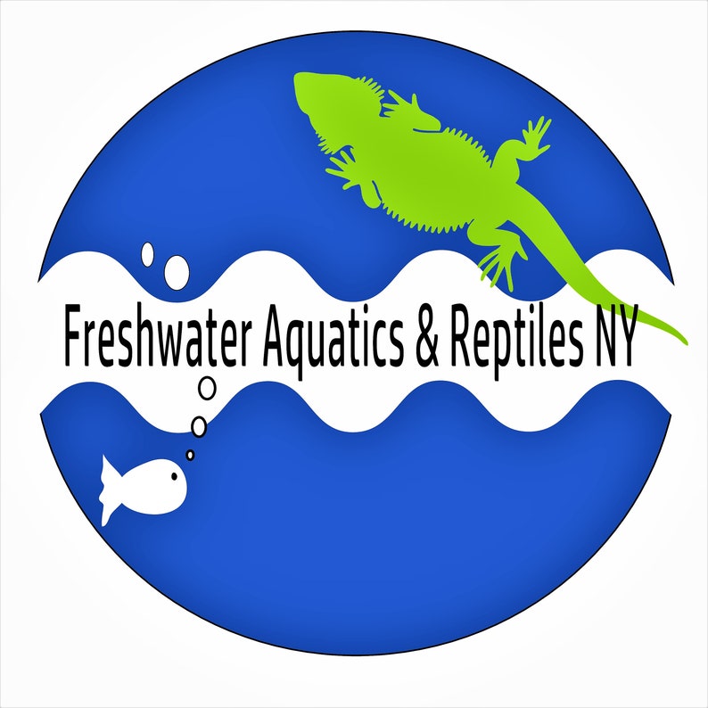 May include: A blue circle with white waves and the text "Freshwater Aquatics & Reptiles NY". A green lizard silhouette is above the waves and a white fish silhouette is below the waves.