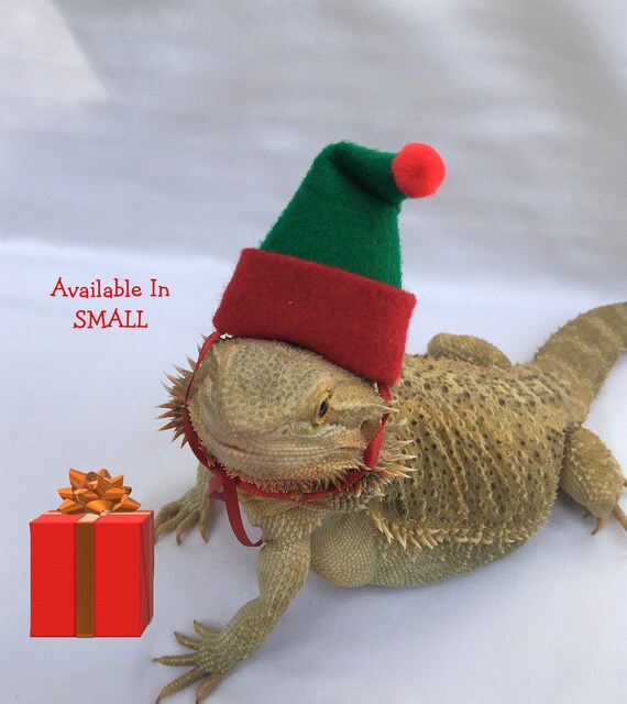 Christmas Home Decor Home Furniture Diy Bearded Dragon Lizard