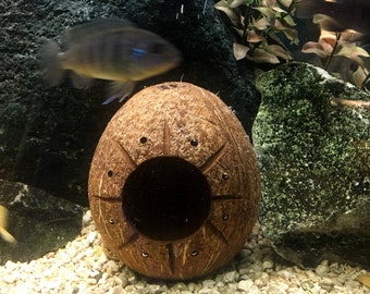 Aquarium Coconut Cave with sunburst carving, one hole or two holes.