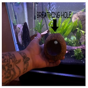May include: A brown coconut shell with a large hole cut out, labeled "Breathing Hole". The coconut shell is being held in a hand, with the hole facing the camera.