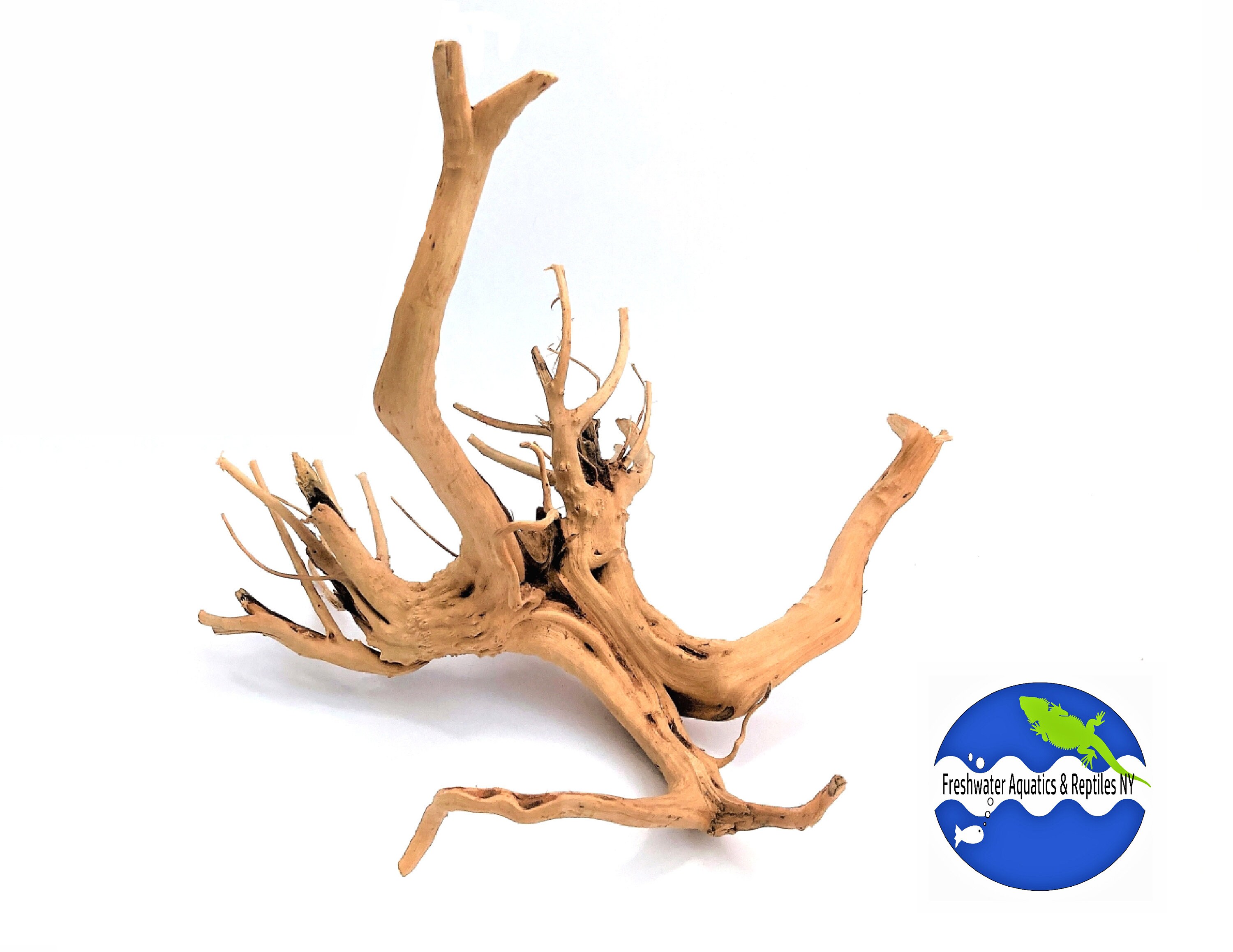 Large Spider Wood 12 x 10 x 9.5 Aquarium Etsy