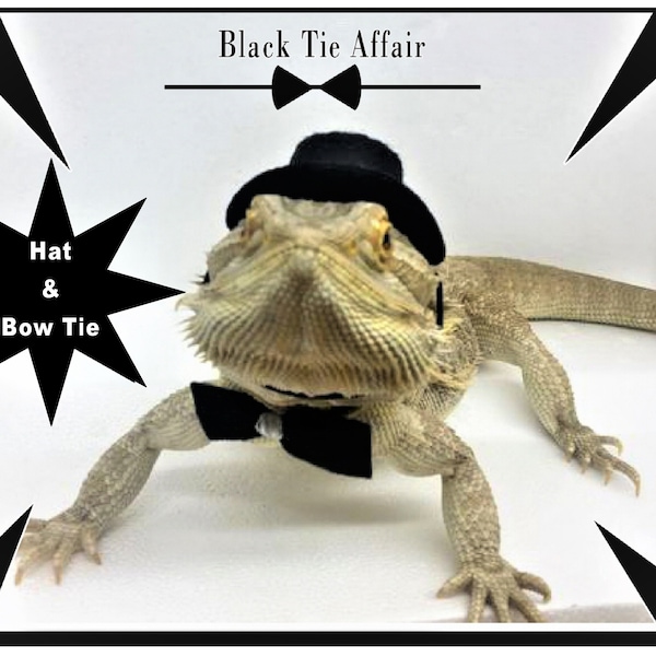 Bearded Dragon Hat and Bow Tie for adult bearded dragon reptile lizard bearded dragon costume clothes clothing