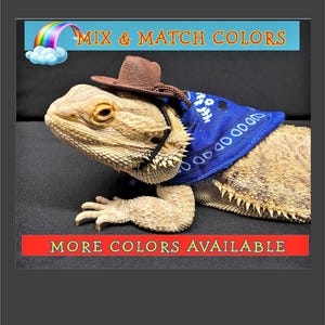 Bearded Dragon Cowboy/Cowgirl Costume: Reptile Lizard Outfit