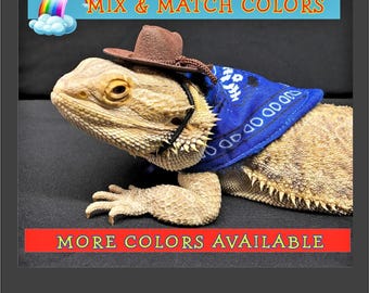 Bearded Dragon Cowboy/Cowgirl Costume: Reptile Lizard Outfit