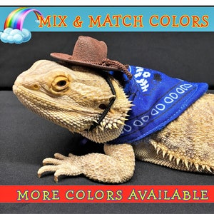 Reptile Costume Cowboy / Cowgirl Bearded Dragon Costume  Bearded Dragon costume Cowboy Costume reptile lizard costume clothes clothing
