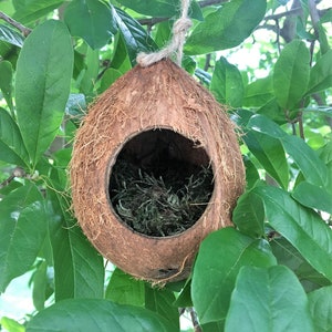 Coconut Reptile Hide: Sterilized Cave for Gecko, Lizard, Anole