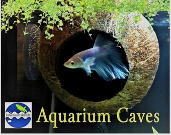 Grotta di cocco dell'acquario Vera grotta di cocco per grotta betta, grotta ciclidi, grotta pesci betta, grotta gamberetti, decorazione acquario, accessorio acquario