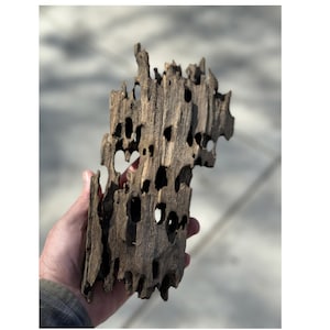 Dragon Wood for Aquarium or Vivarium, Terrarium Driftwood Fish tank shrimp wood image 2