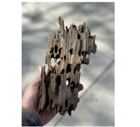 Dragon Wood for Aquarium or Vivarium, Terrarium Driftwood Fish tank shrimp wood
