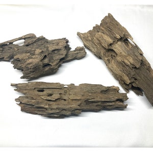 Dragon Wood for Aquarium or Vivarium, Terrarium Driftwood Fish tank shrimp wood image 3