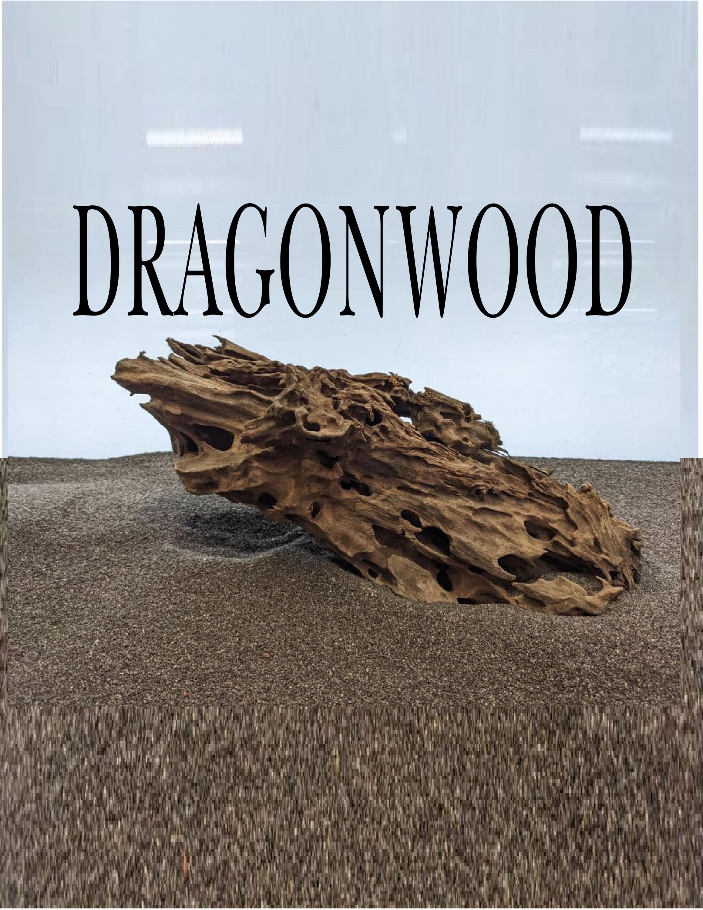 Dragon Wood for Aquarium or Vivarium, Terrarium Driftwood Fish tank shrimp wood