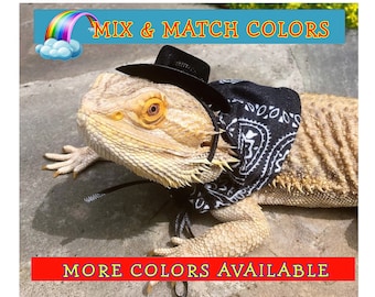 Black Cowboy / Cowgirl Hat and Bandana for Bearded Dragon costume or other reptile or pet