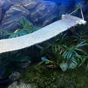 Reptilienbrücke 3 ”breite Vivarium Sackleinen Reptilien-Tank-Dekor-Brücken-Rampe Reptilienzubehör