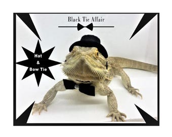 Bearded Dragon Hat and Bow Tie: Formal Reptile Costume